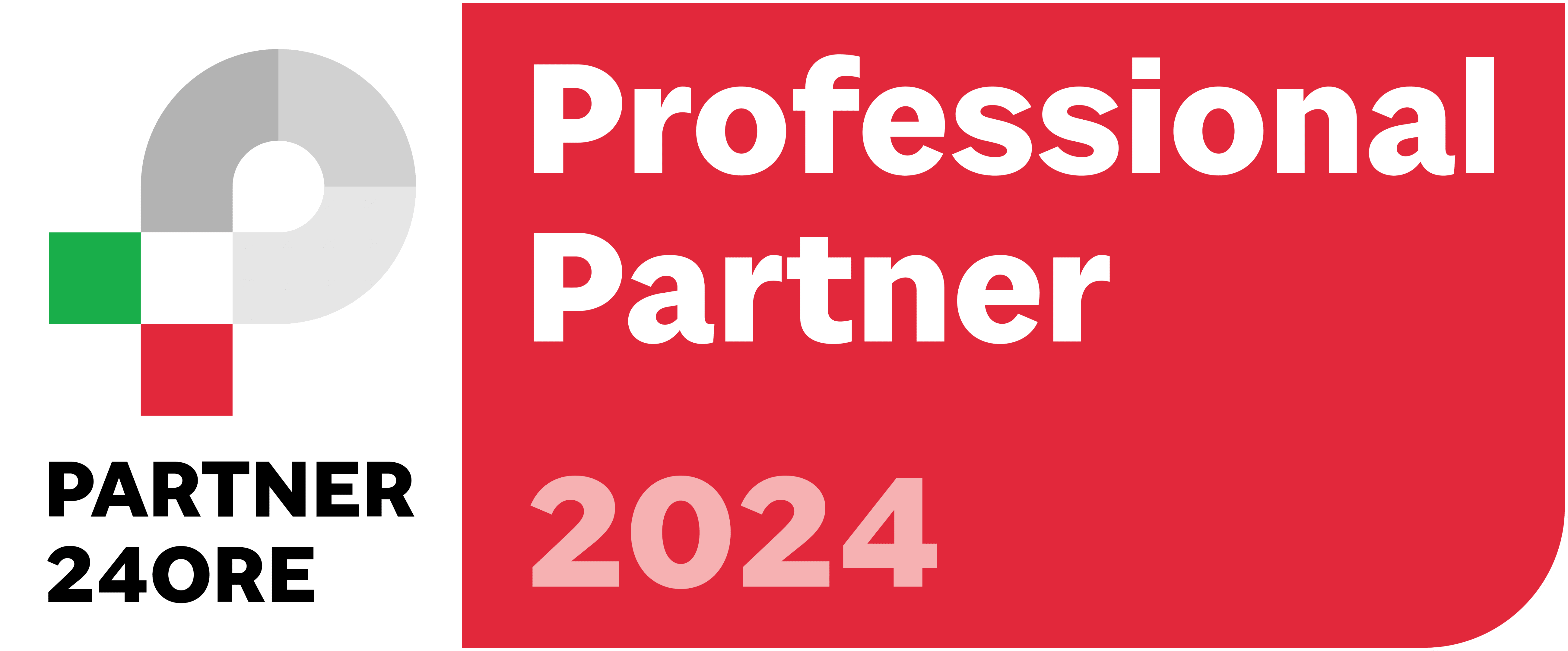 Professional Partner 2024