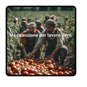 Maxisanzione per lavoro nero